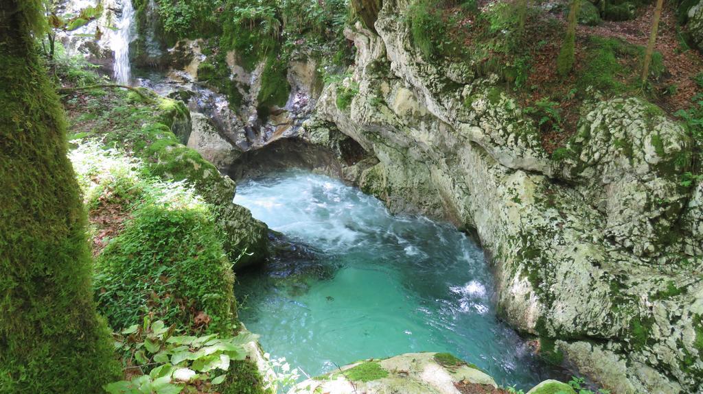D-d * Bovec